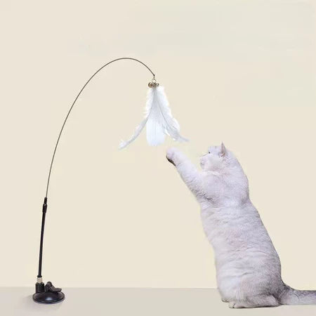 Varinha com penas, desperto os instintos de caça no seu gato