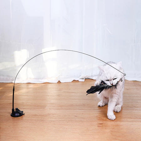 Varinha com penas, desperto os instintos de caça no seu gato