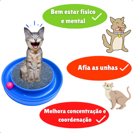 Arranhador com bolinha interativa